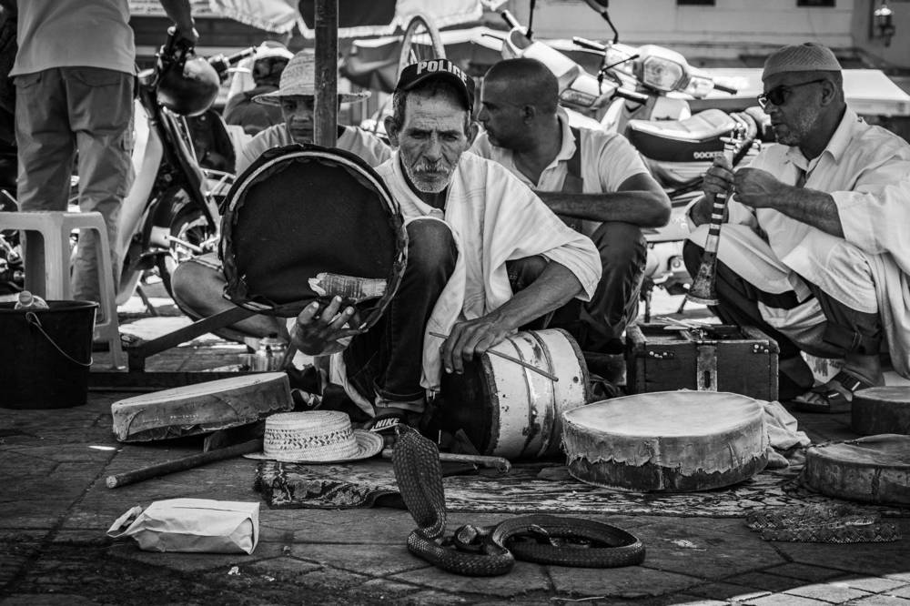 Фотография автора Catarina Almeida