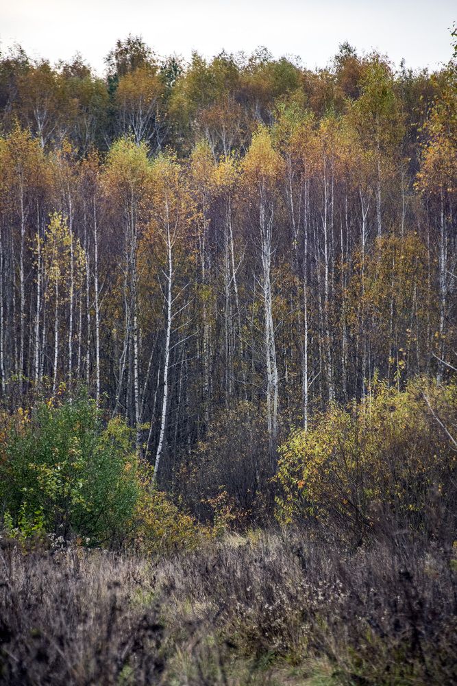 Photograph by Дария Ризниченко