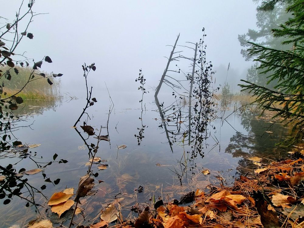 Photograph by Алексей Приешкин