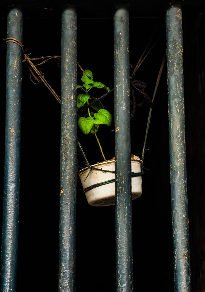 Фотография автора Debapriya Dasgupta