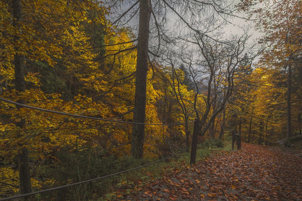 Photograph by Luca Menotti