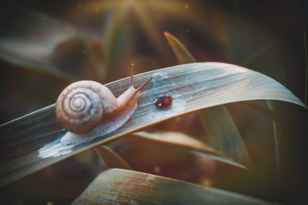 Photograph by Елена Шабельникова