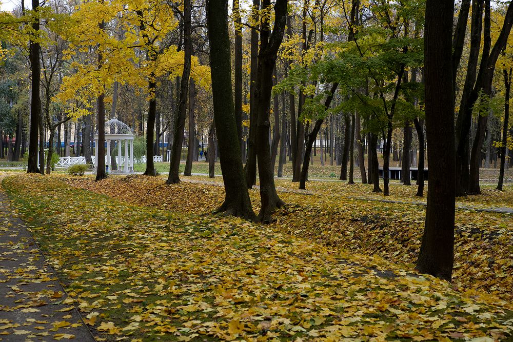 Photograph by Надежда Пухова