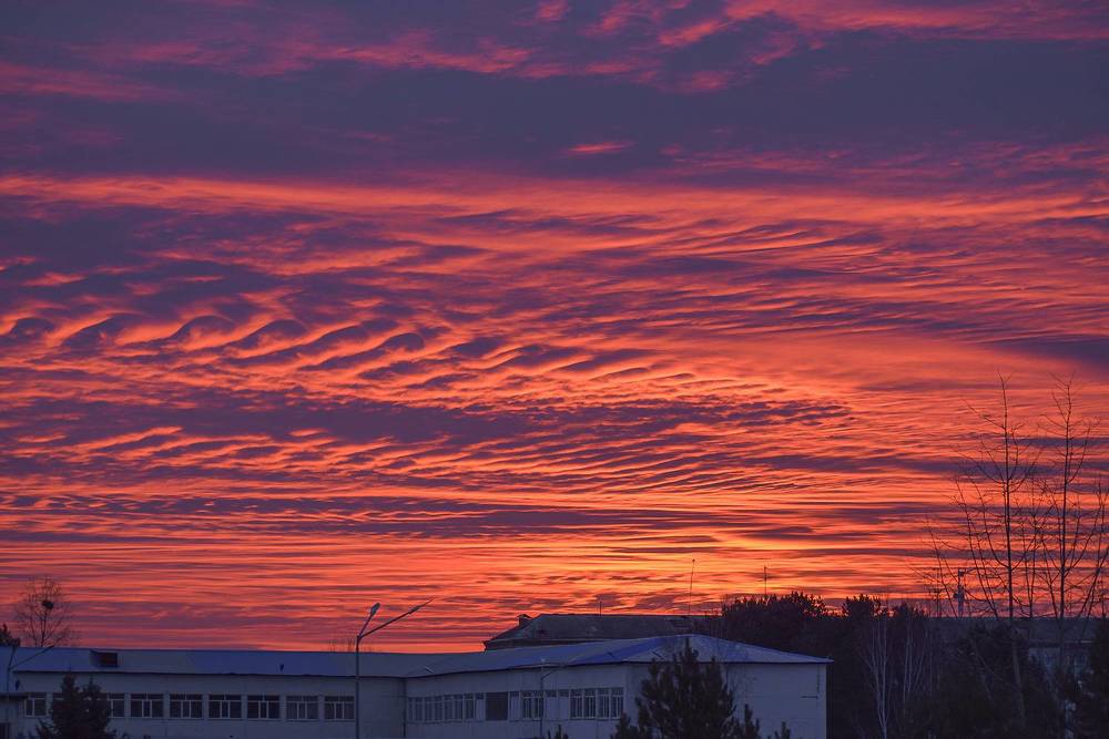 Полыхающий рассвет