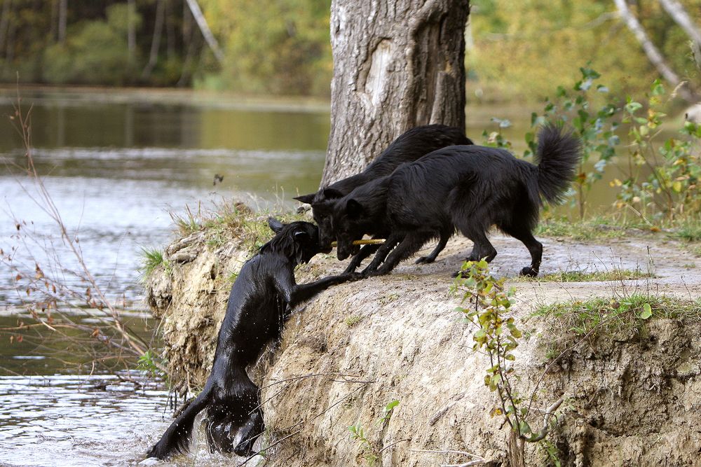 Мы поможем!