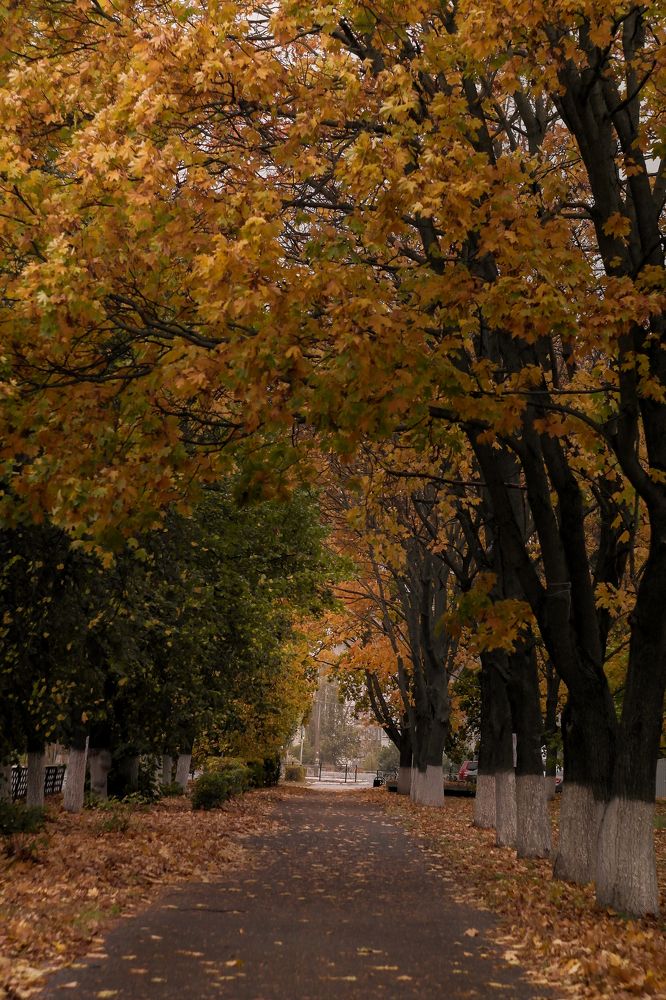 Photograph by Smirnova Olga