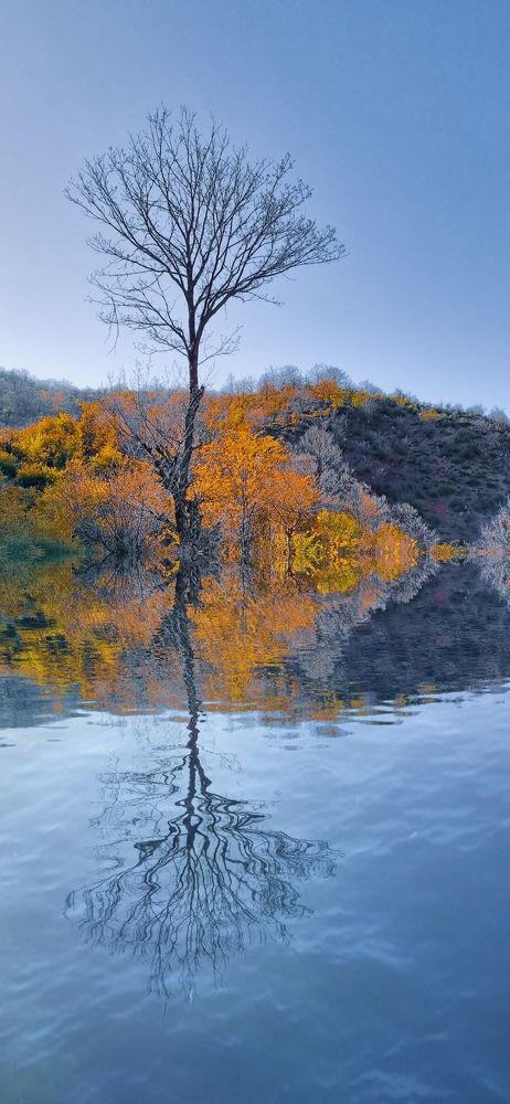 Фотография автора Naser Rezeian