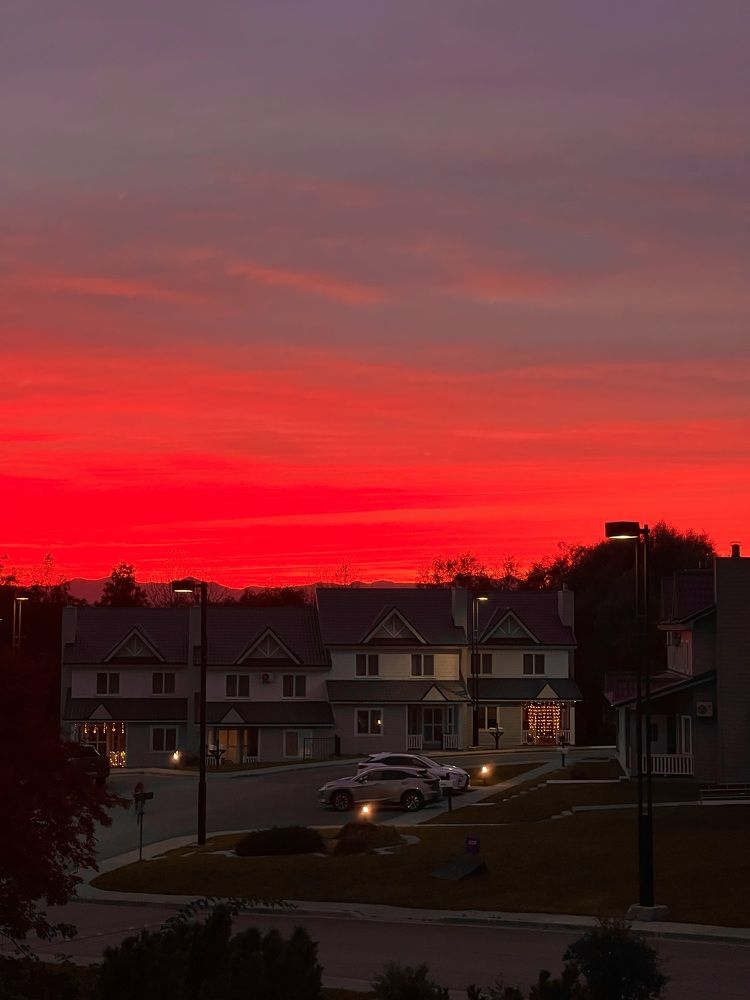 Фотография автора Елена Меньшикова