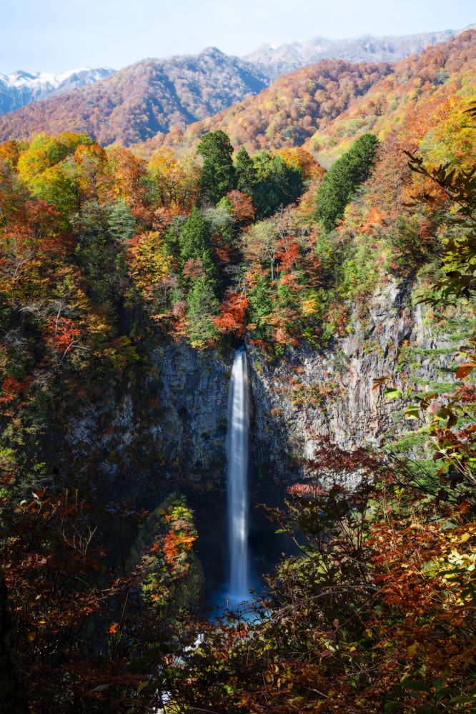 Photograph by NAGUMO SHUTO