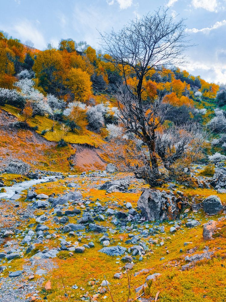 Фотография автора Naser Rezeian