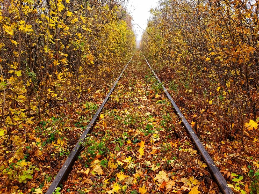 Photograph by Сергей Кравченко