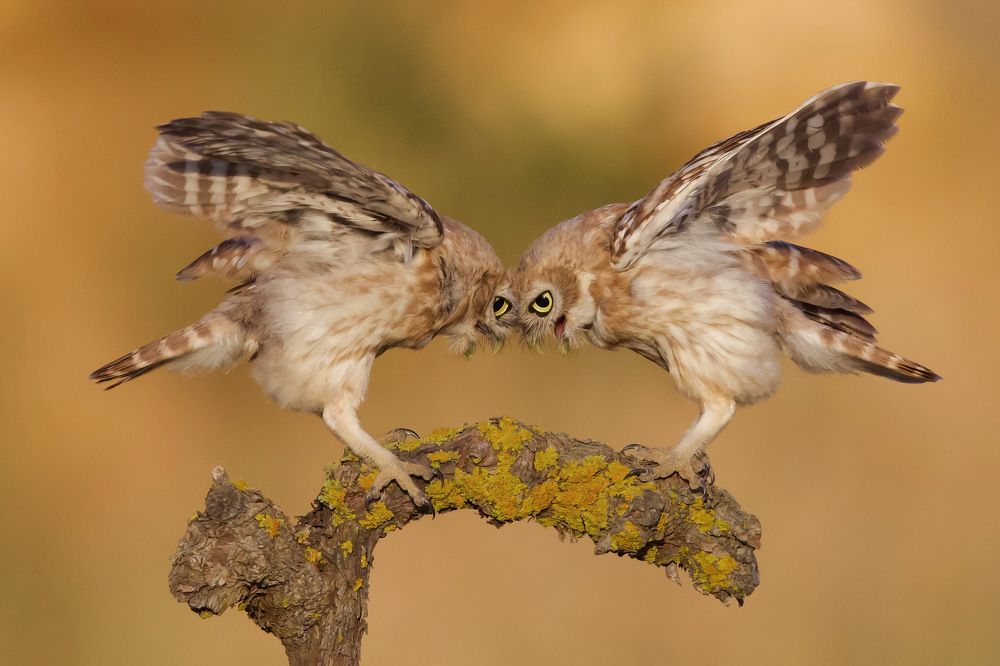 Photograph by David Manusevich