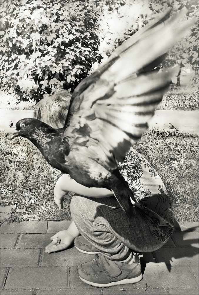 Photograph by Игорь