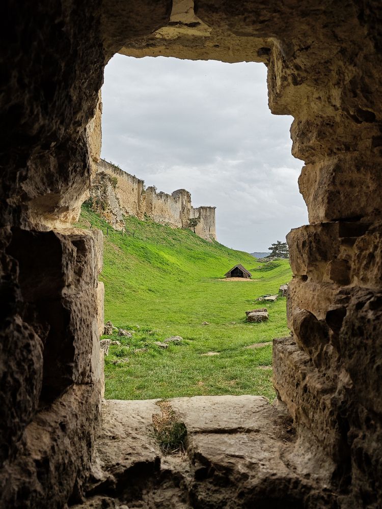 Photograph by Александра Шилова