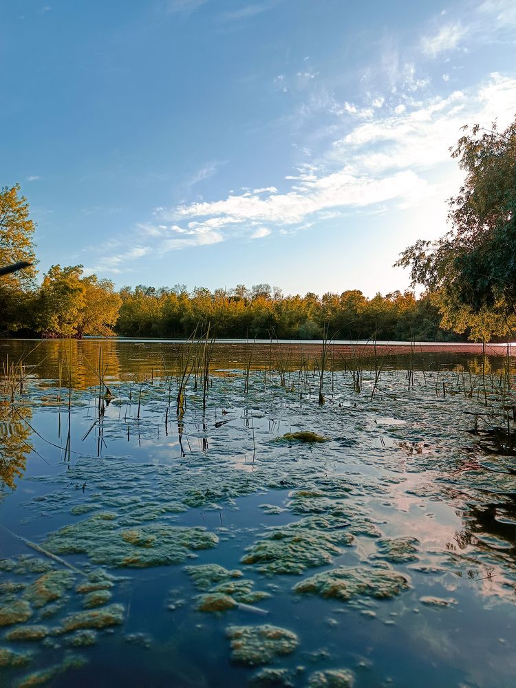 Фотография автора Ольга Юдина