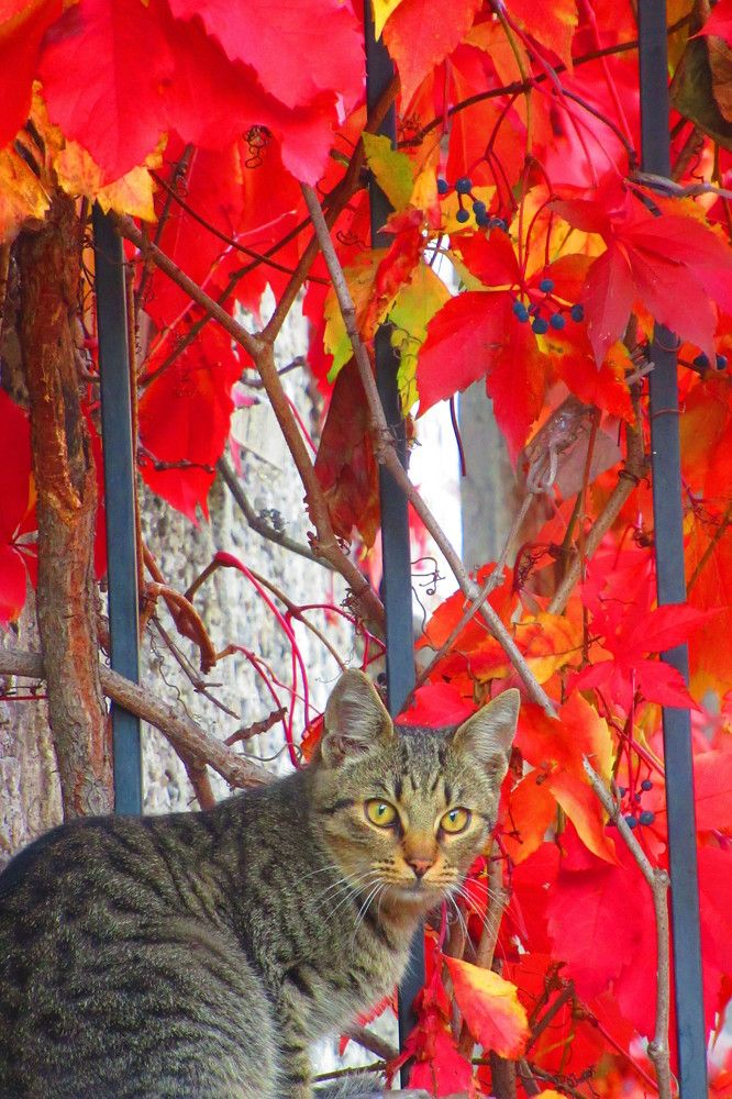 Photograph by Ирина Шведчикова