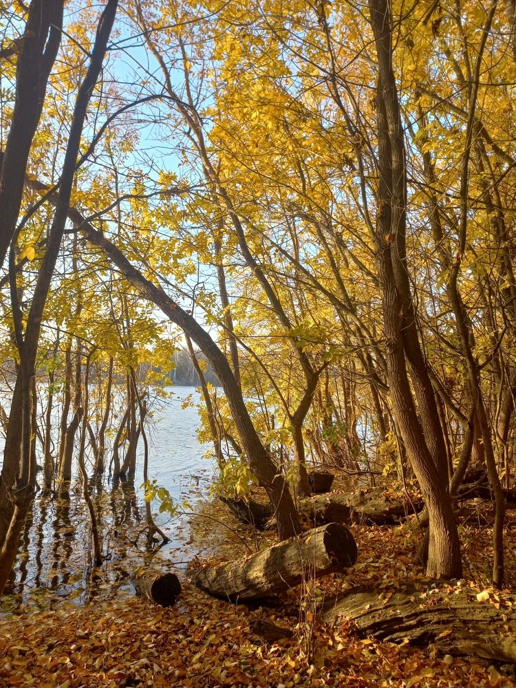 Photograph by Нина Романюк