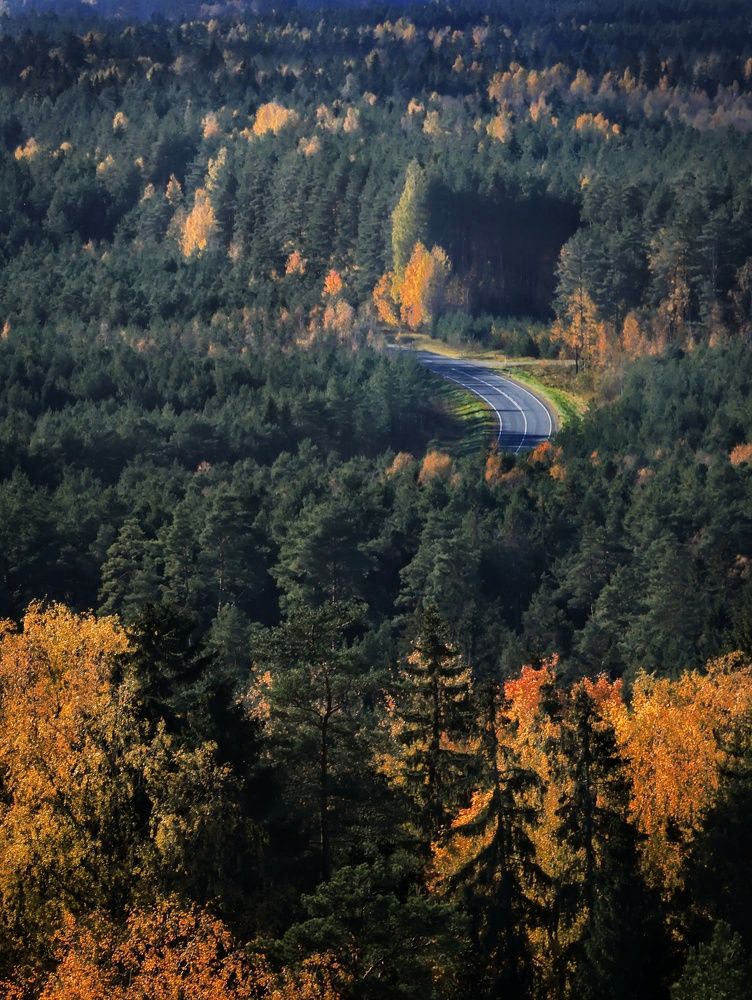 Photograph by Olga Asson