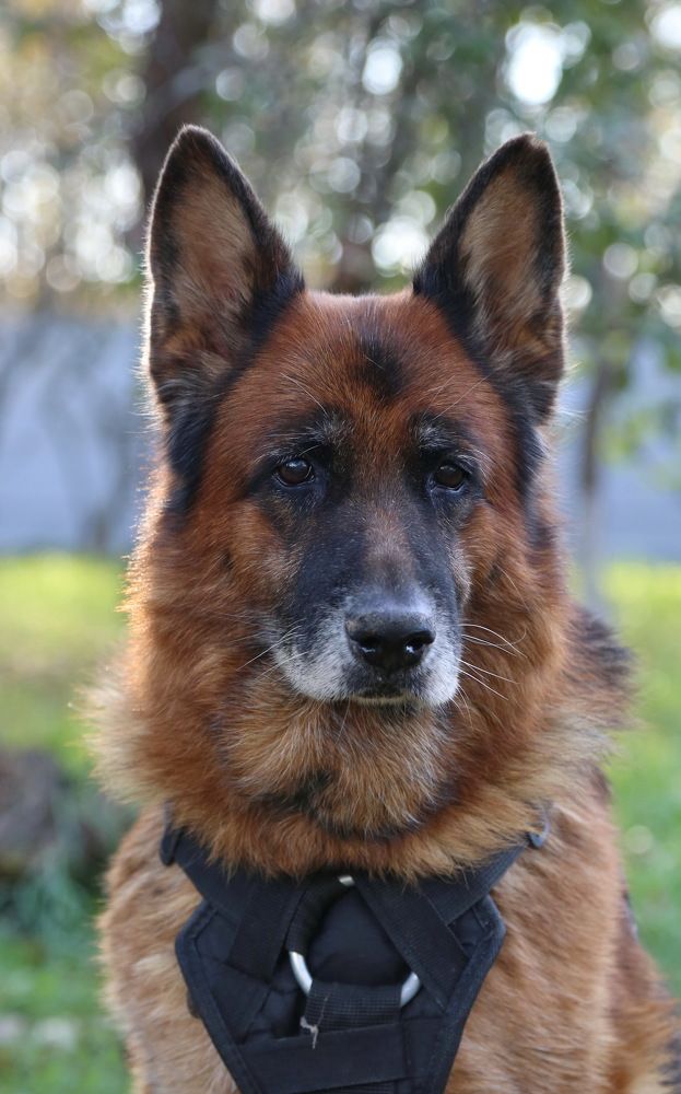 Photograph by Анастасия Рысь