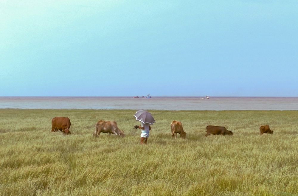 Photograph by Md. Md.Irtiza