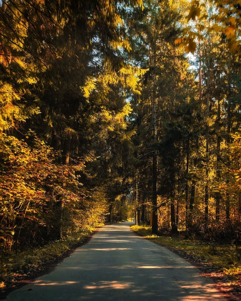 Photograph by Татьяна Соколовская