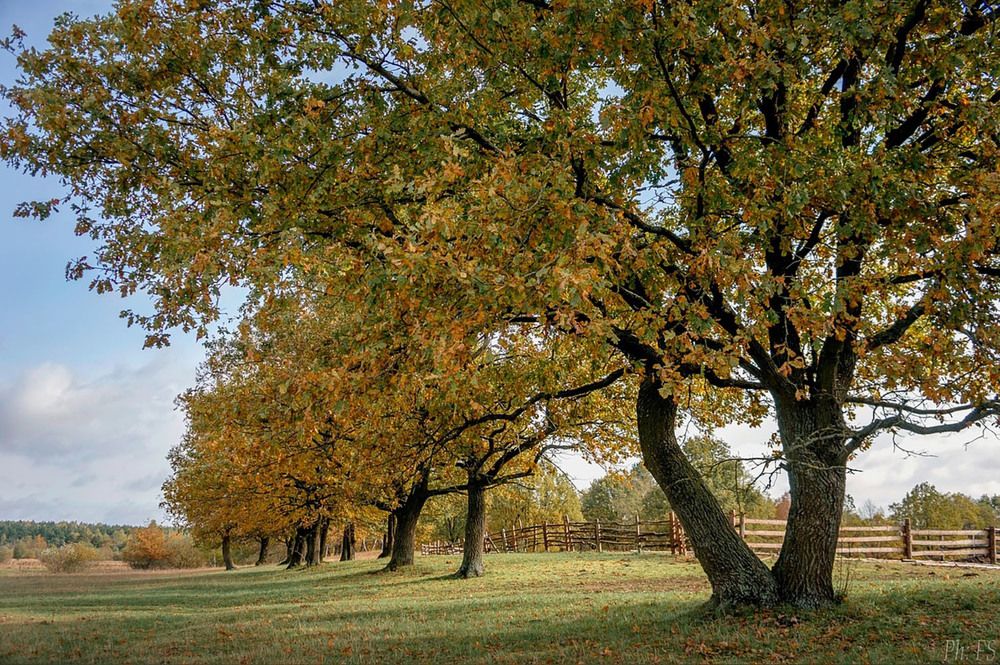 Photograph by Светлана Филипеня