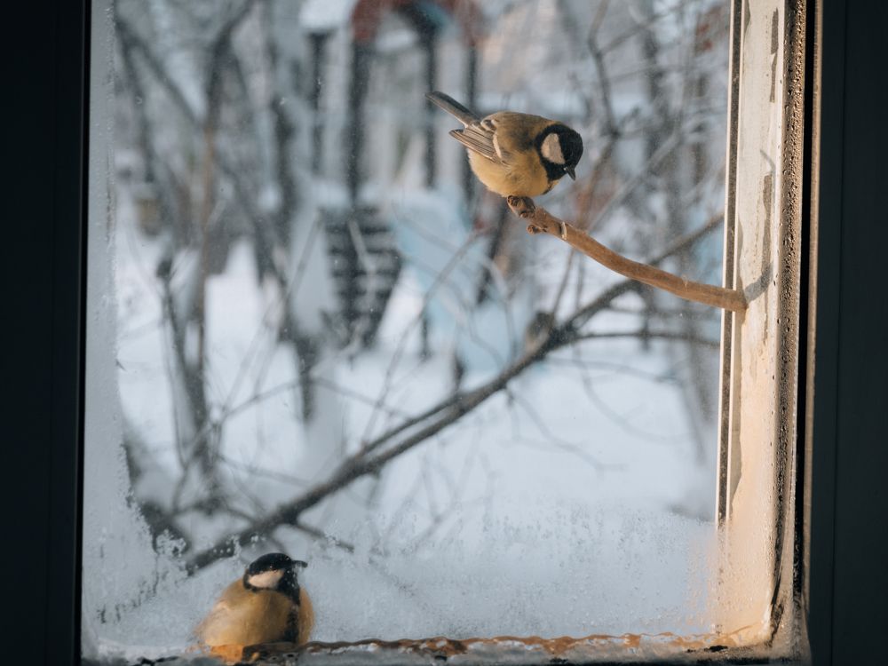 Photograph by Константин Пешков