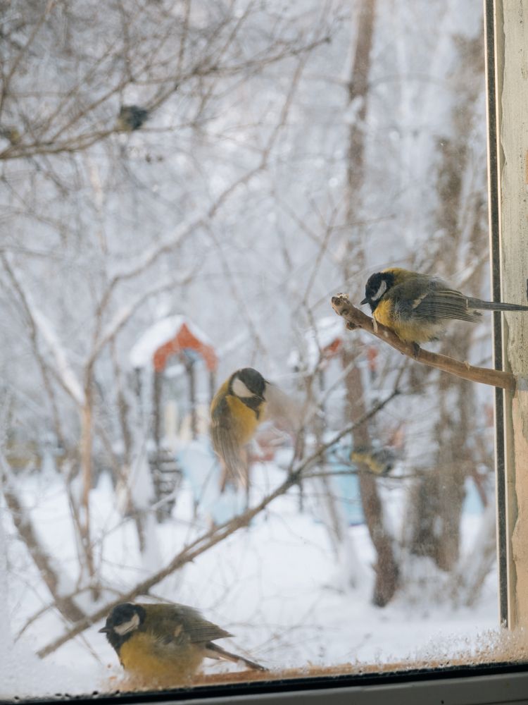 Photograph by Константин Пешков