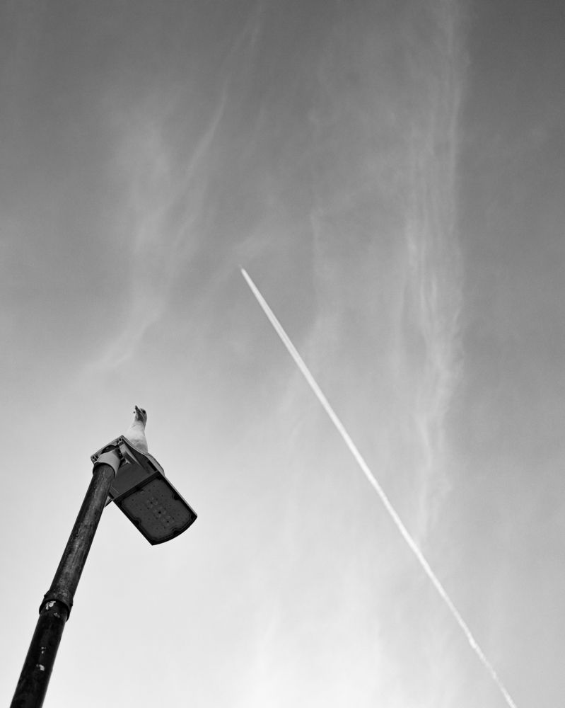 Фотография автора David Vargas