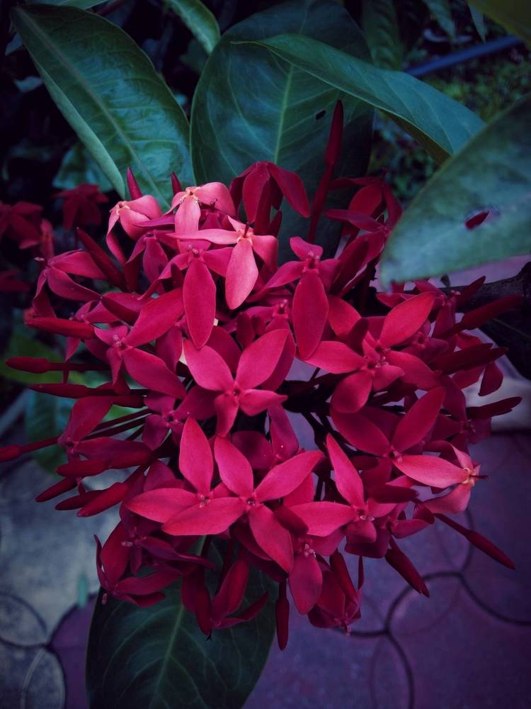 Фотография автора Captured Chronicles