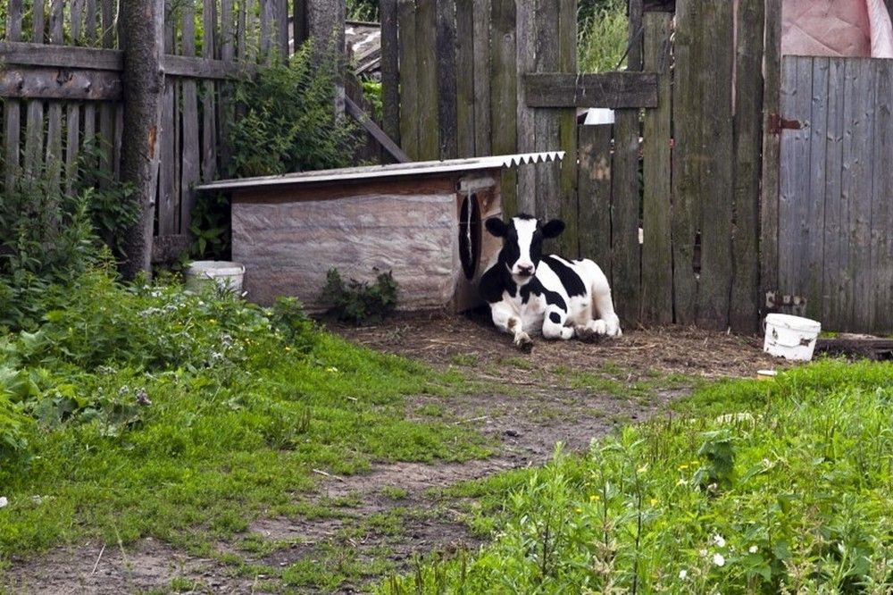 Photograph by Сергей Ключарёв