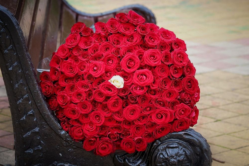 Photograph by Татьяна Бравая