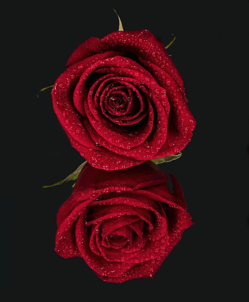 Photograph by Davide Poletto