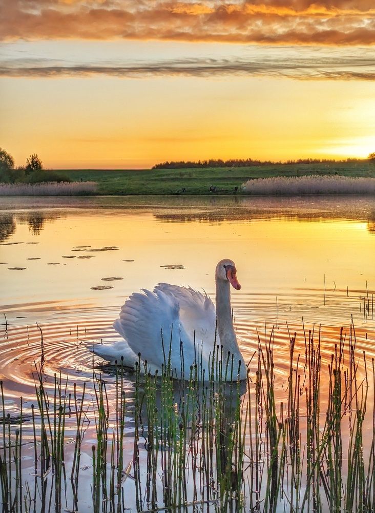 Photograph by Владимир Шаруба