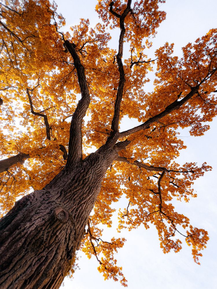 Photograph by Наталья Чернышова