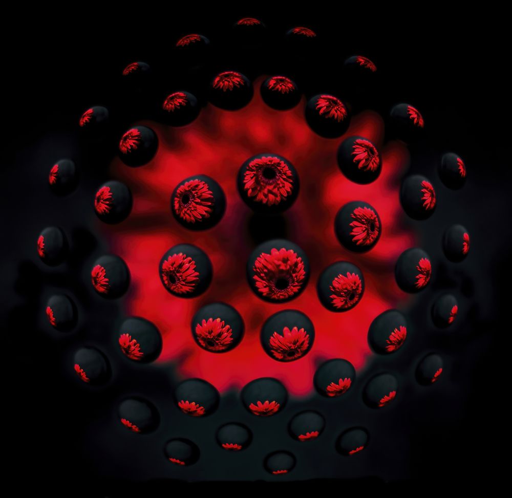 Photograph by Davide Poletto