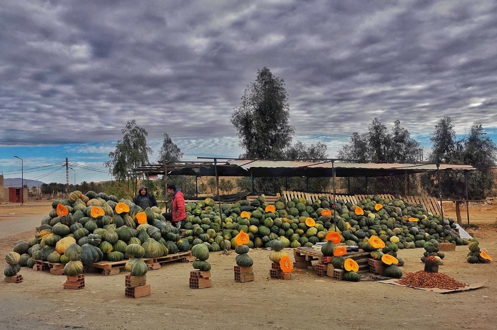 Photograph by Azzeddine Memmou