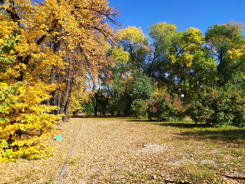 Photograph by Татьяна Клемба