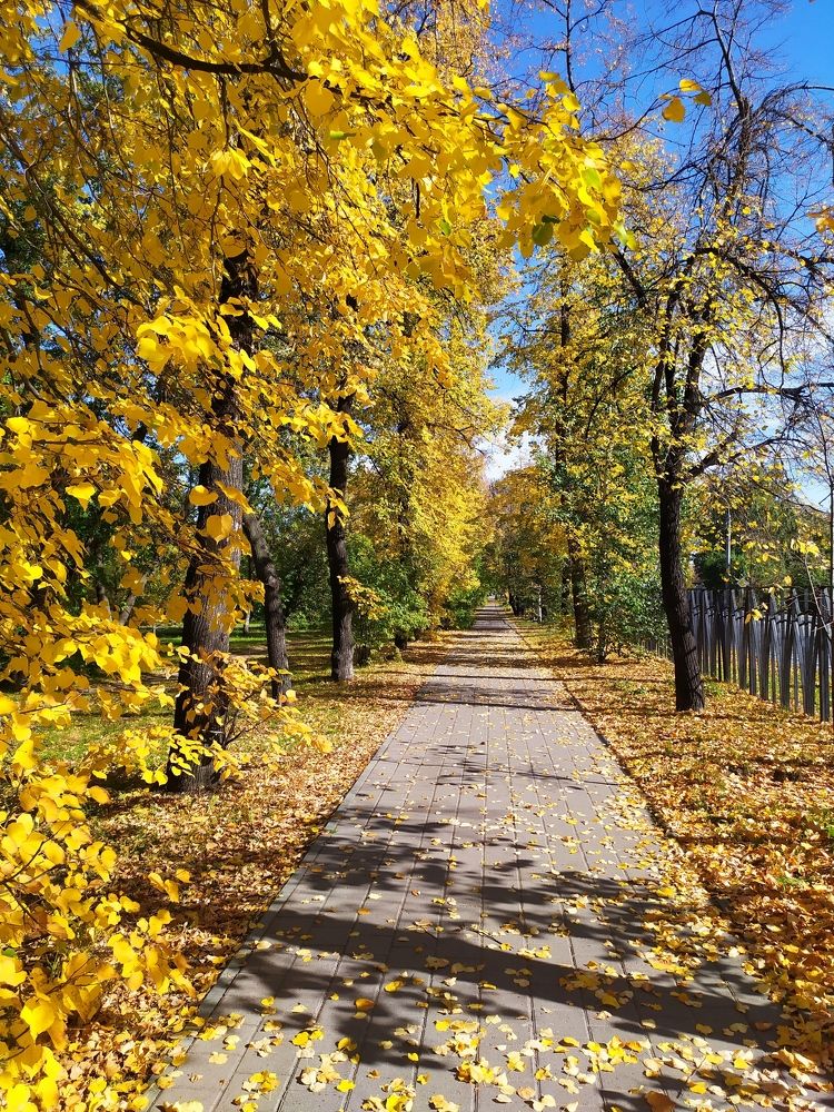 Photograph by Татьяна Клемба