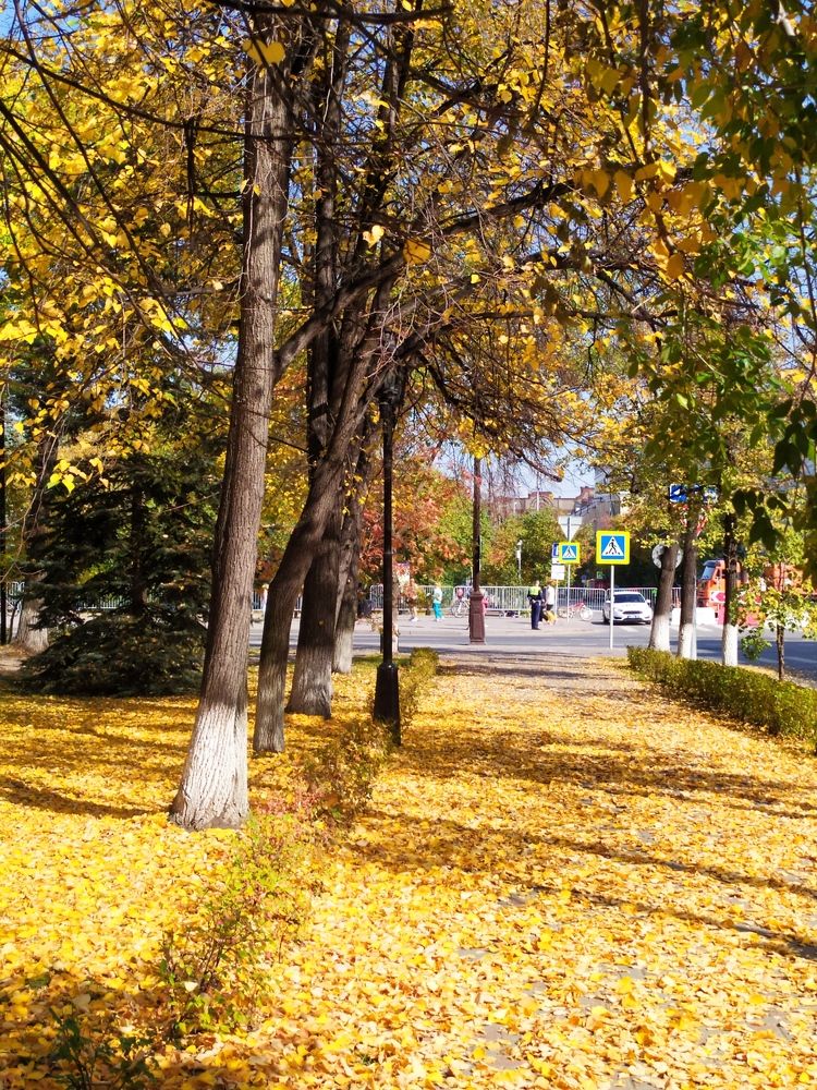 Photograph by Татьяна Клемба