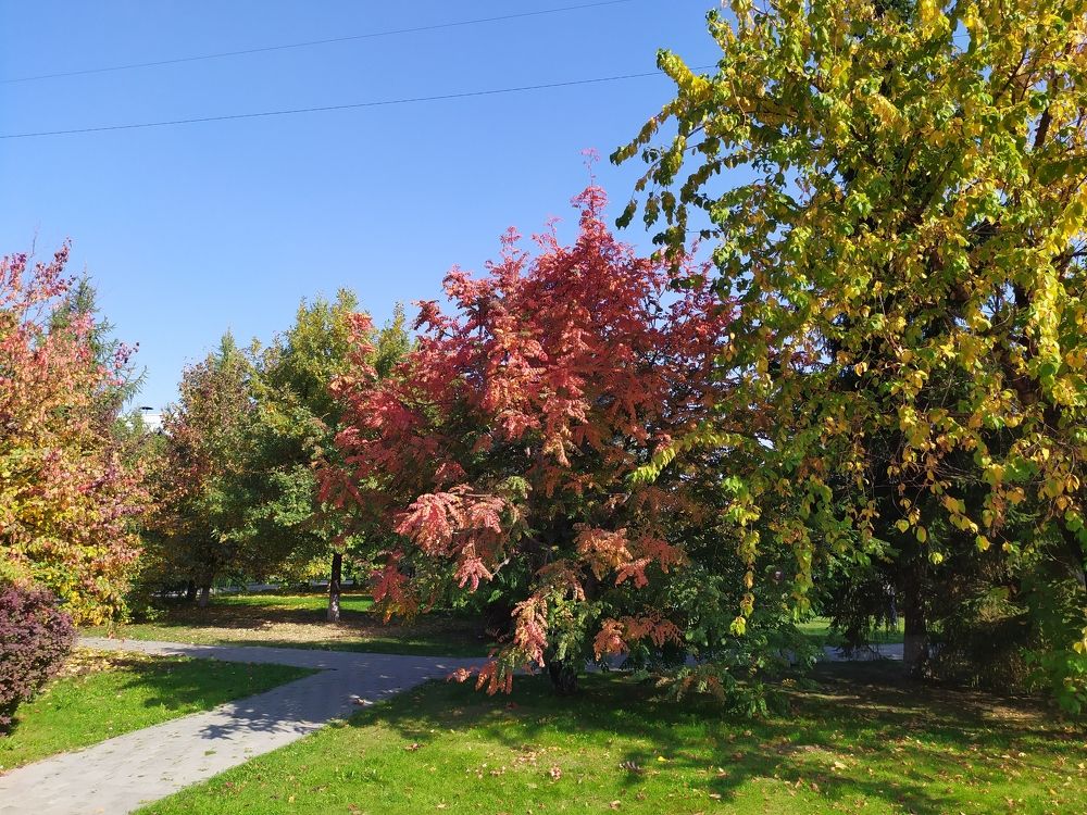 Photograph by Татьяна Клемба