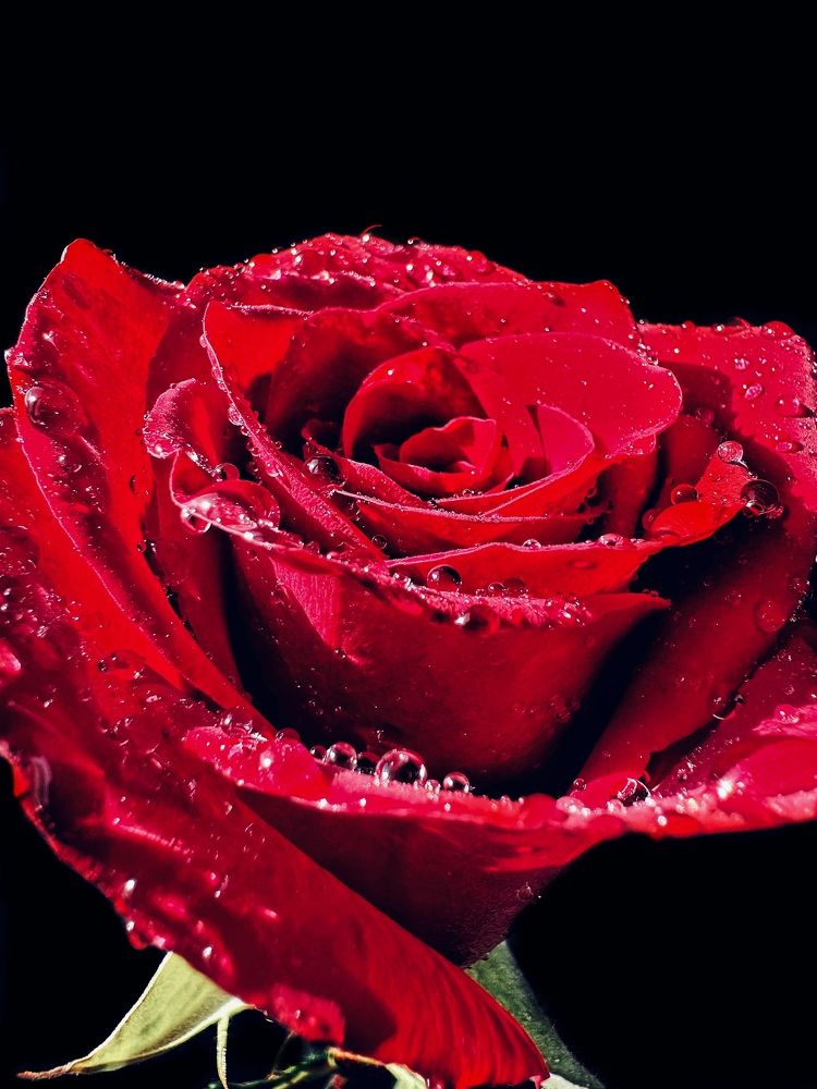 Photograph by Дина Желанова