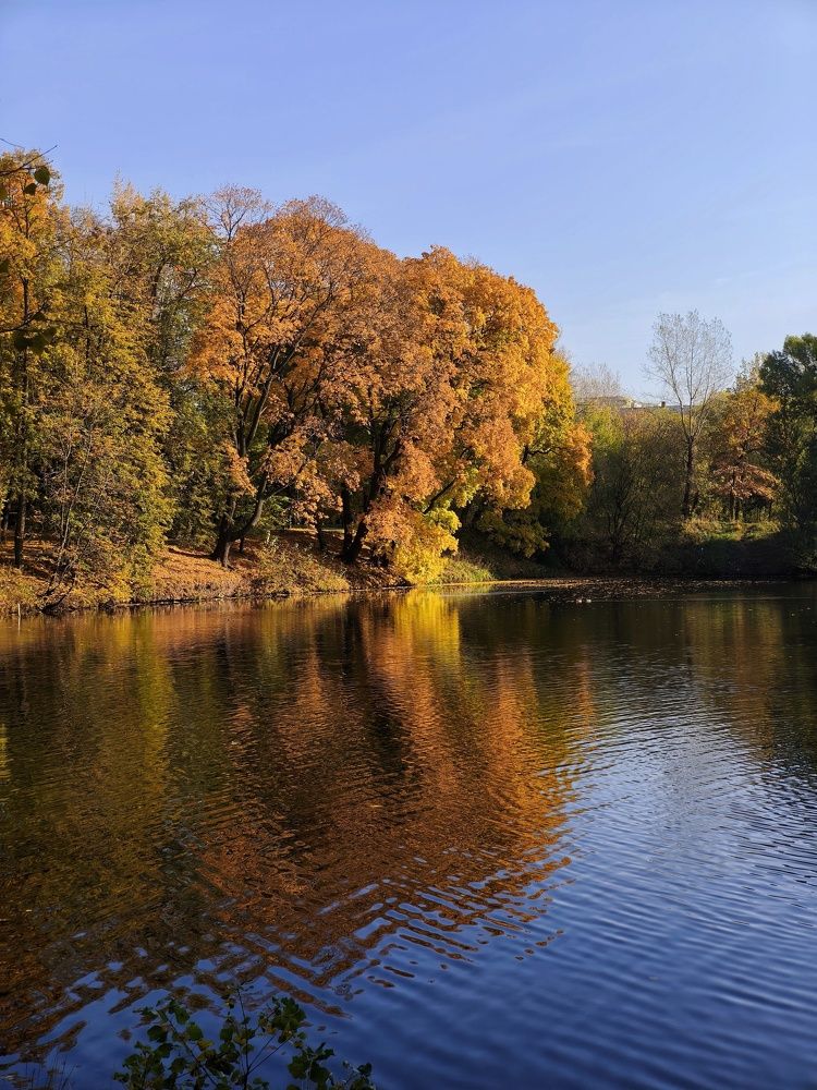 Photograph by Олеся Хижко