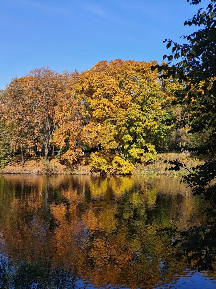 Photograph by Олеся Хижко