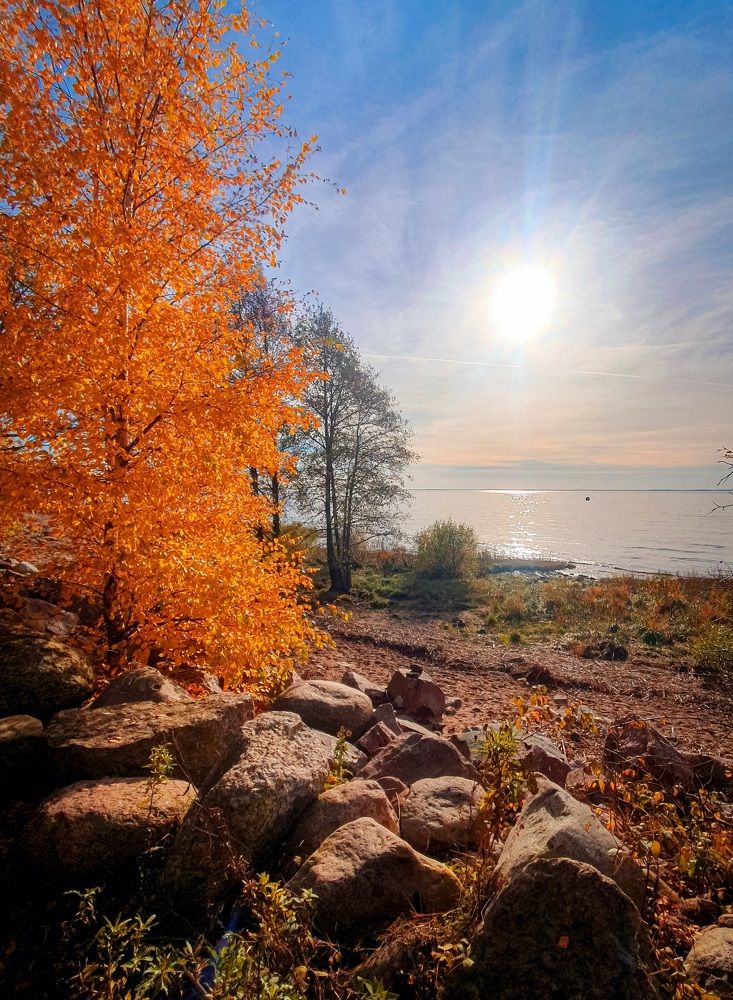 Фотография автора Inna Evseeva