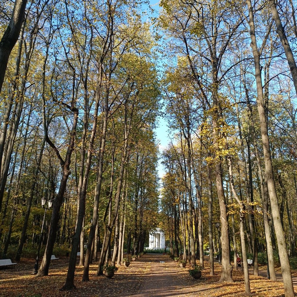 Photograph by Игорь Крапивин