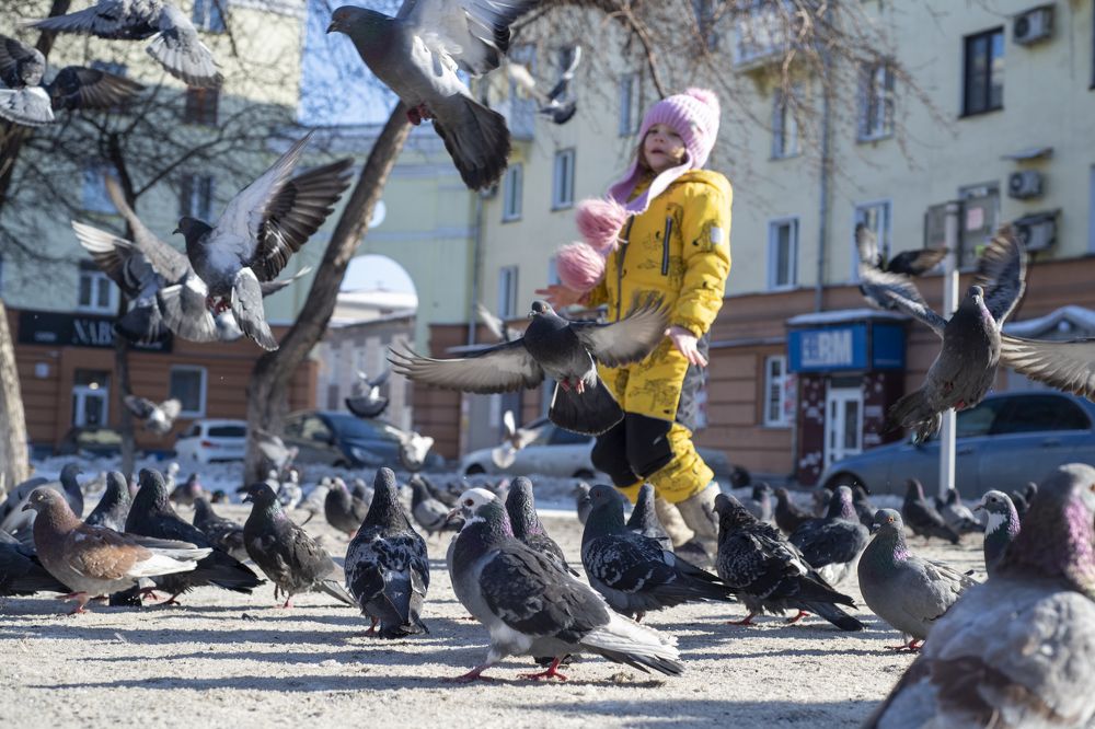 Photograph by Сергей Шерстнев