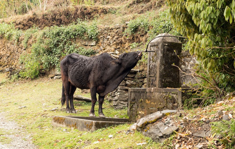 Photograph by Виктор Петров