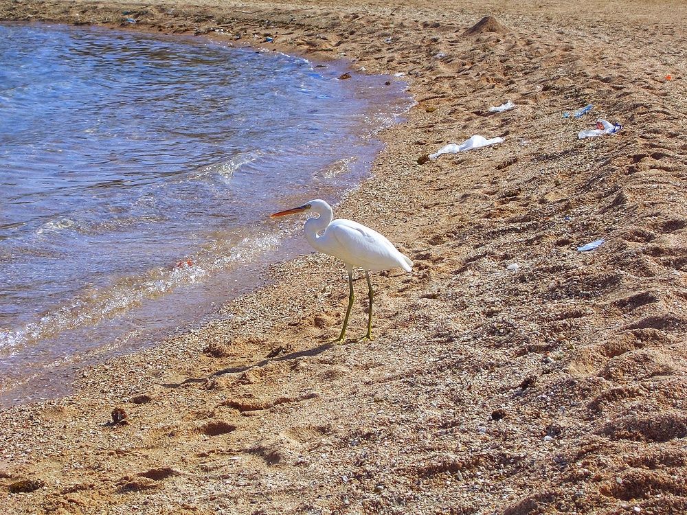 Photograph by Светлана Рубцова