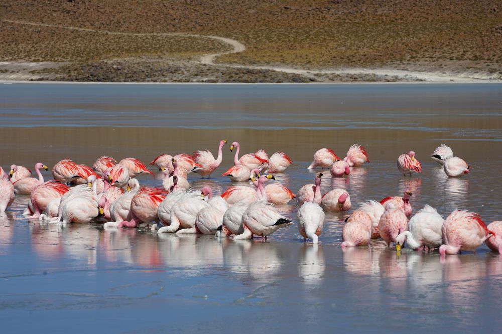 Photograph by Anna Perevozchikova